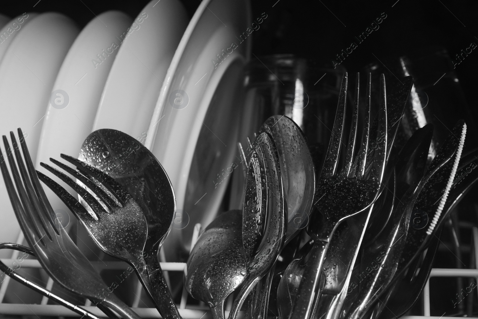 Photo of Clean wet plates and cutlery in dishwasher, closeup