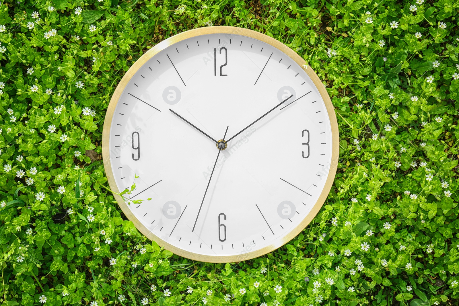 Photo of Big clock among flowers, outdoors. Time change concept