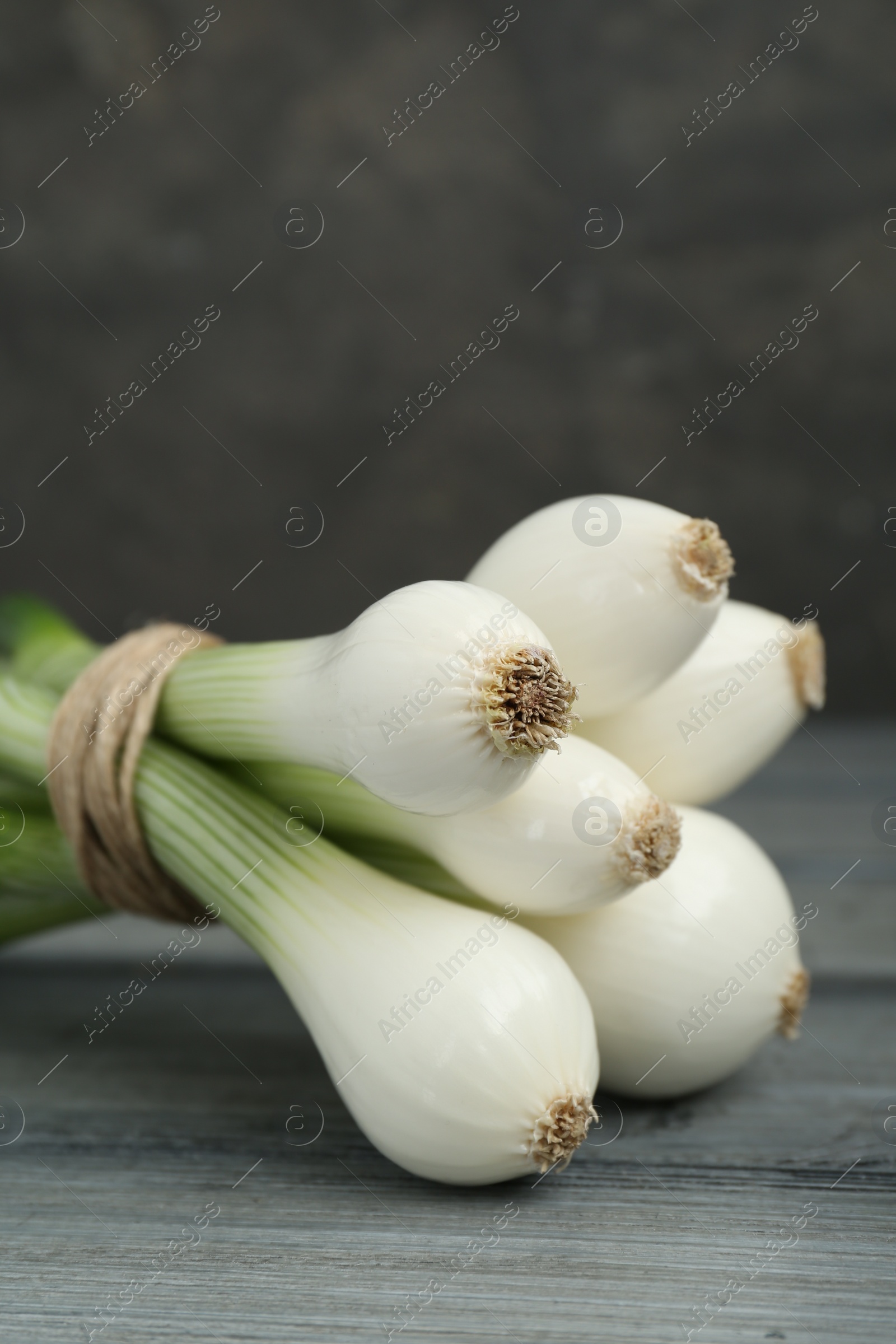 Photo of Bunch of green spring onions on grey wooden table, closeup