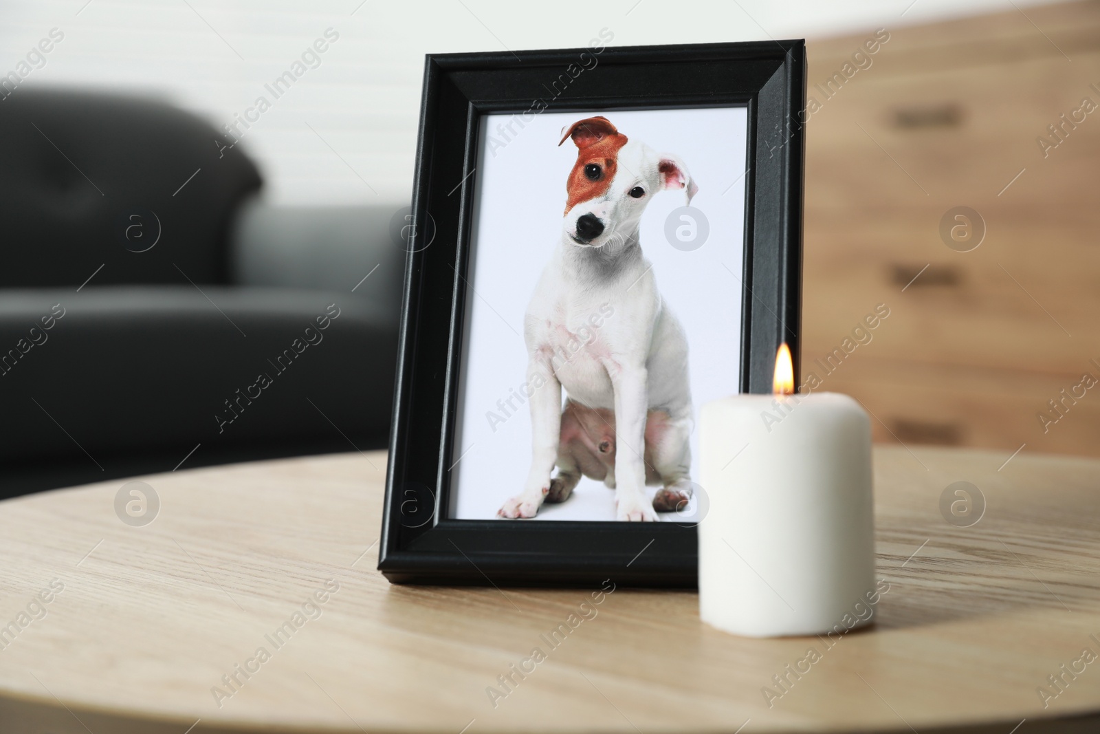 Photo of Frame with picture of dog and burning candle on wooden table indoors. Pet funeral