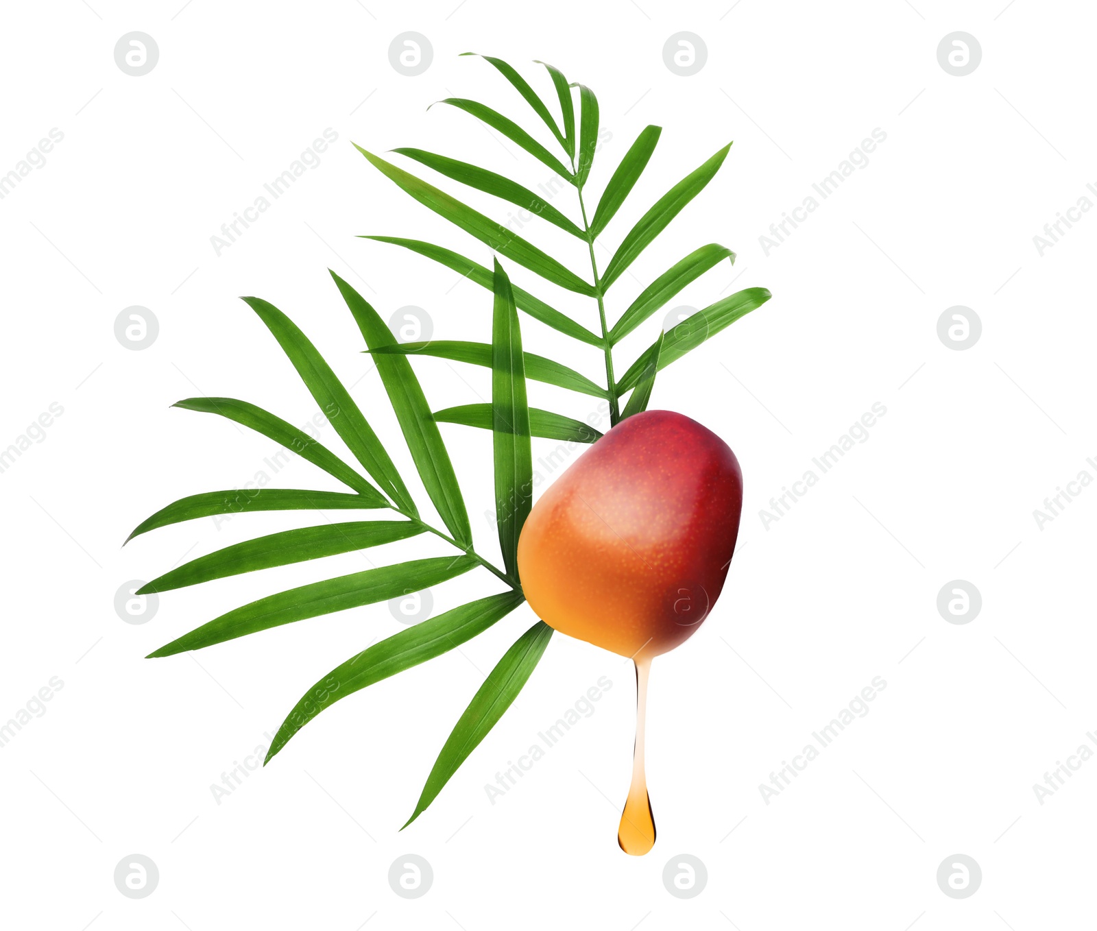 Image of Oil dripping from palm fruit on white background