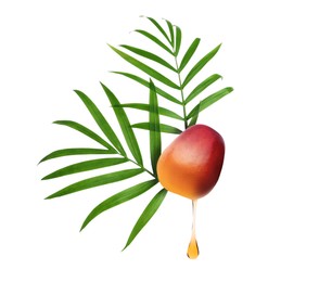 Oil dripping from palm fruit on white background