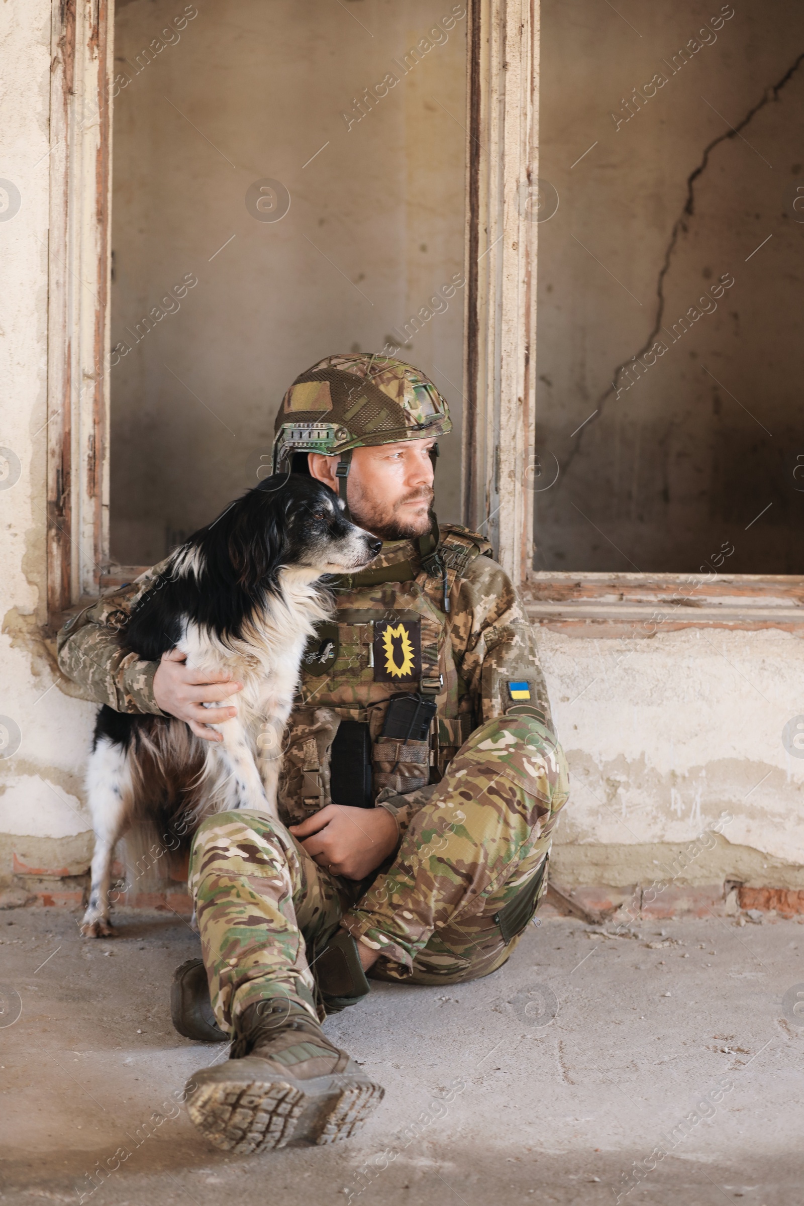 Photo of Ukrainian soldier sitting with stray dog in abandoned building