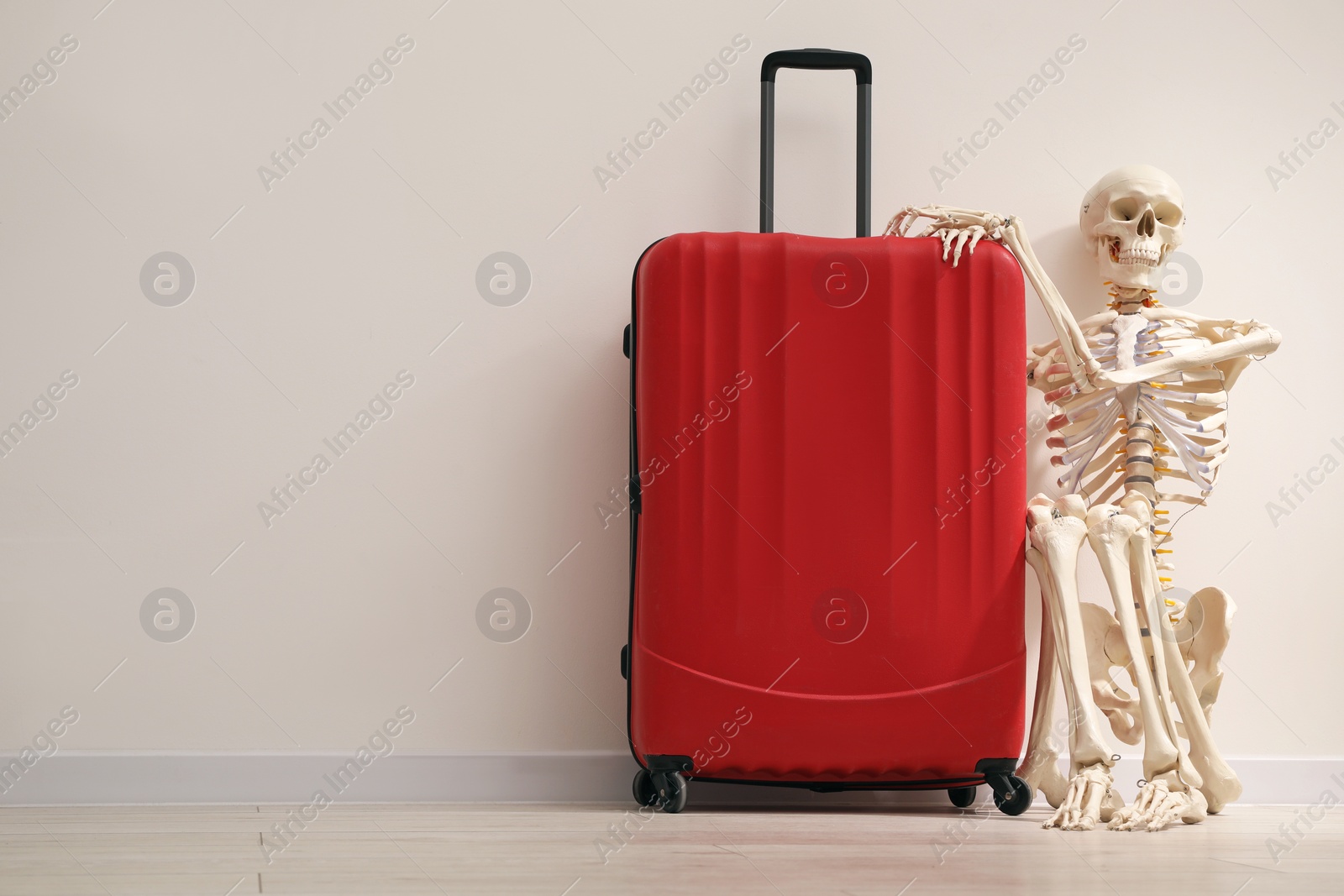 Photo of Waiting concept. Human skeleton with suitcase near light grey wall, space for text