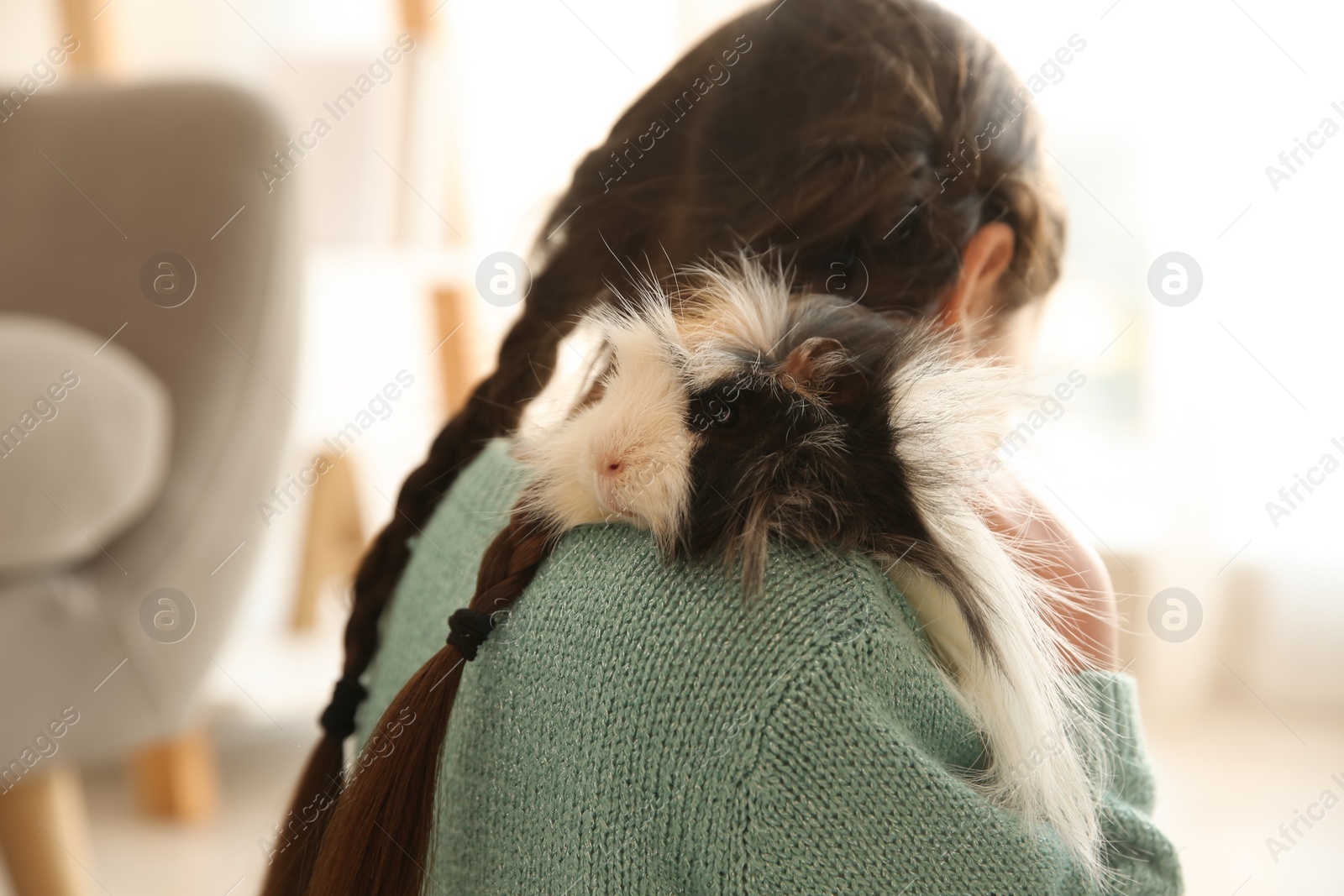 Photo of Little girl with guinea pig at home, back view. Childhood pet