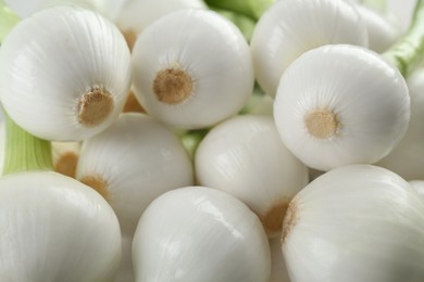 Photo of Whole green spring onions as background, closeup