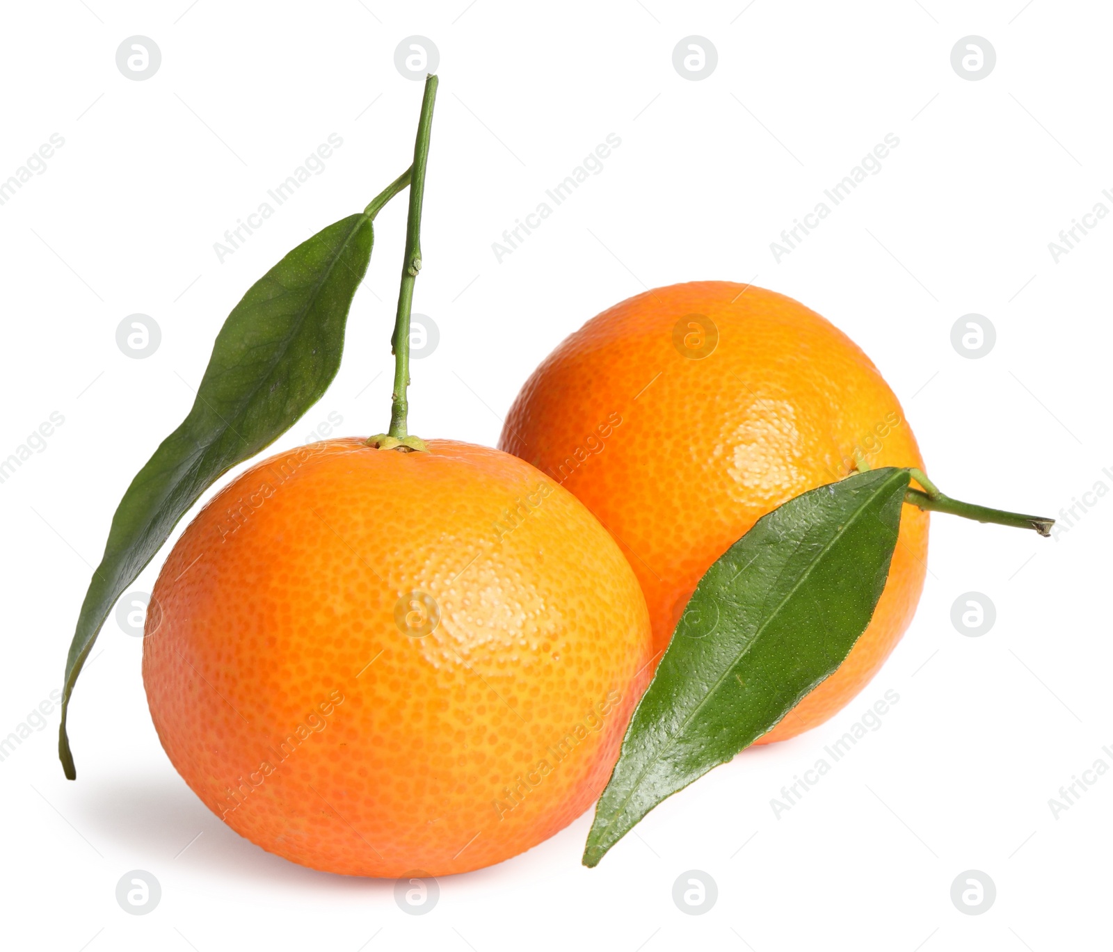 Photo of Fresh ripe juicy tangerines with green leaves isolated on white