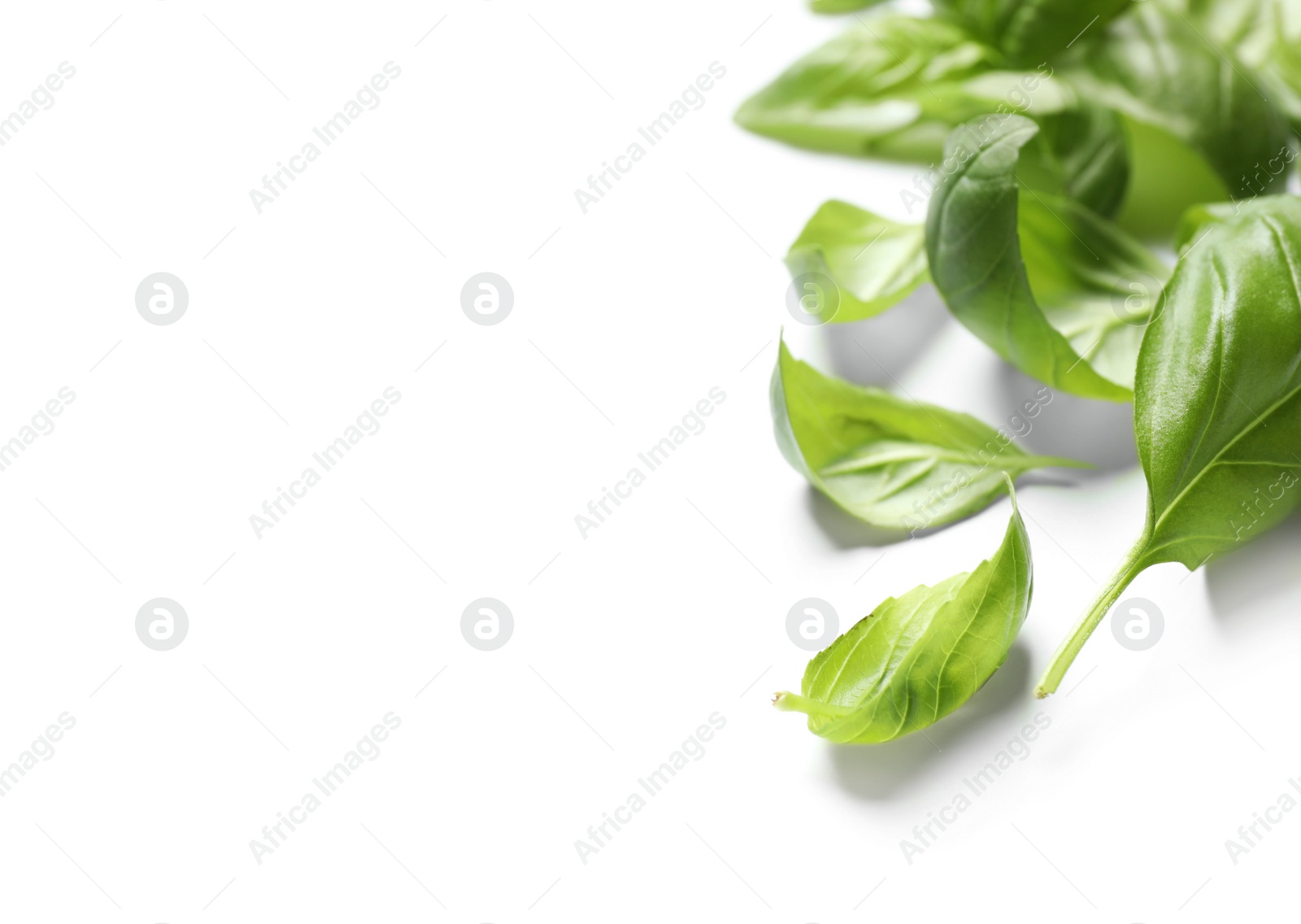 Photo of Fresh green basil leaves on white background, closeup