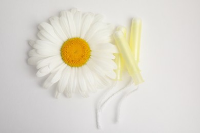 Photo of Applicator tampons and chamomile flower on white background, top view. Menstrual hygiene product