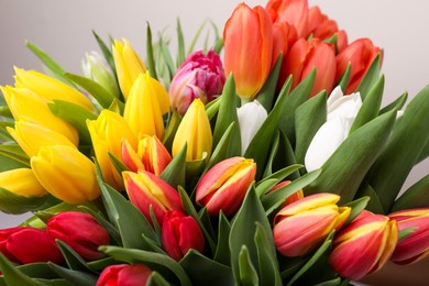 Photo of Beautiful colorful tulip flowers on grey background, closeup