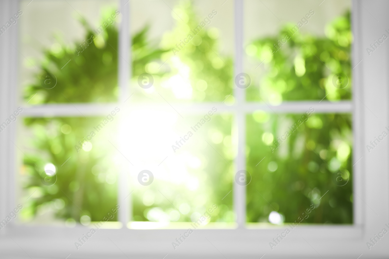 Photo of Blurred view through window on garden in morning