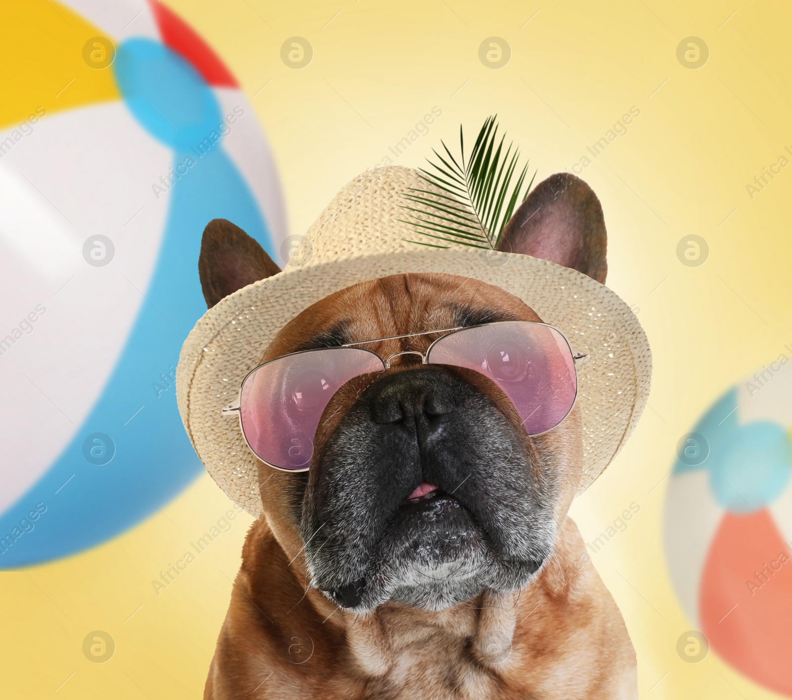 Image of Cute dog in hat and sunglasses on color background. Summer party