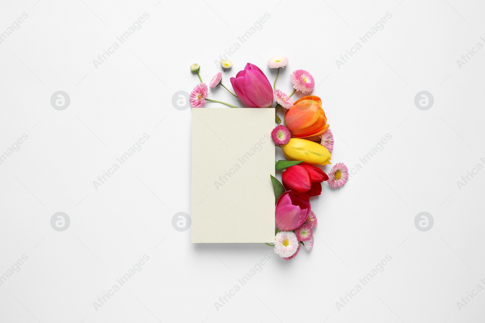 Photo of Beautiful composition with spring flowers and blank card on white background, top view. Space for text