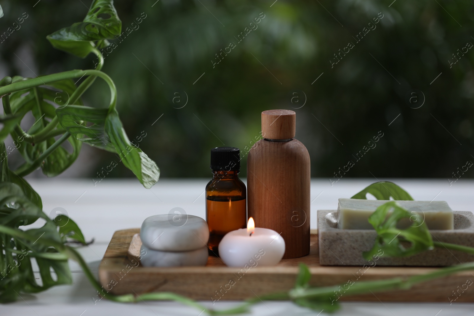 Photo of Beautiful composition with different spa products and green leaves on white table, closeup