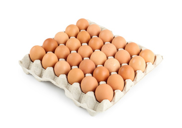 Raw chicken eggs in carton tray isolated on white