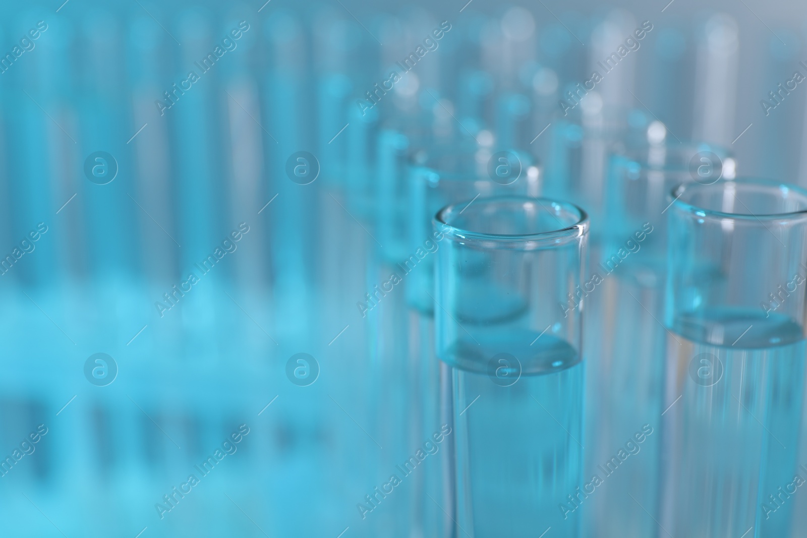 Photo of Laboratory analysis. Many glass test tubes on light blue background, closeup and space for text