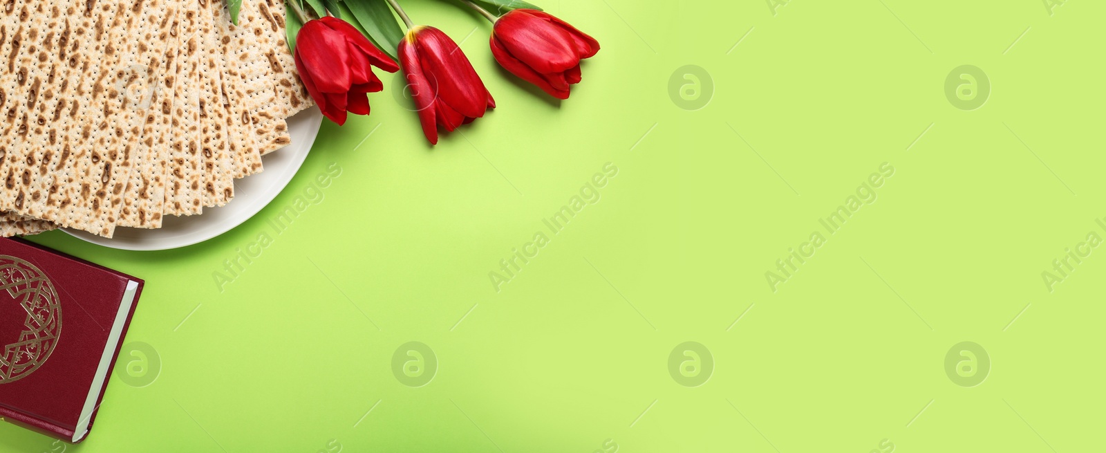 Image of Matzos, Torah and flowers on green background, flat lay with space for text. Passover (Pesach) Seder