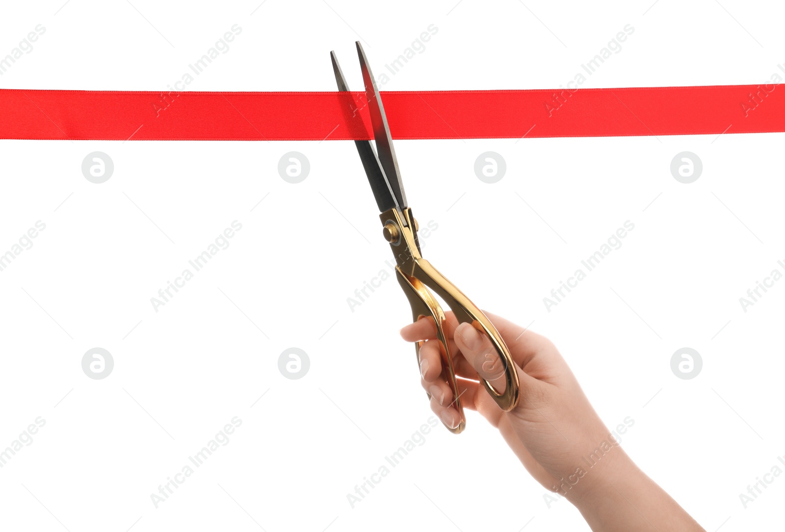 Photo of Woman cutting red ribbon with scissors on white background. Traditional ceremony