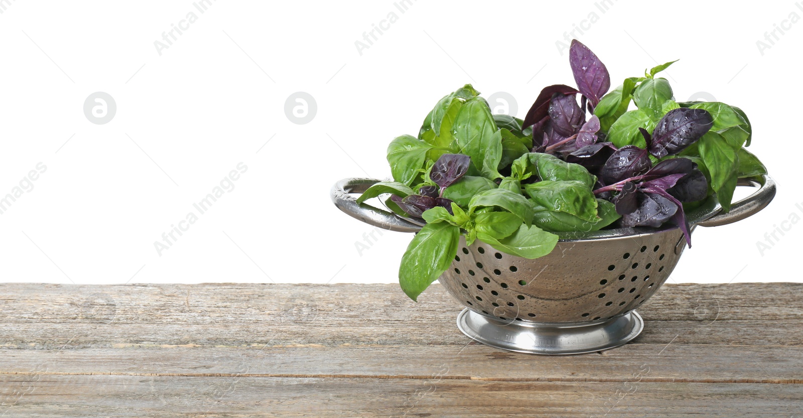 Photo of Metal colander with fresh basil leaves on wooden table against white background. Space for text