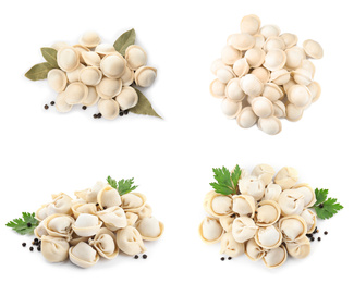 Set of uncooked dumplings isolated on white