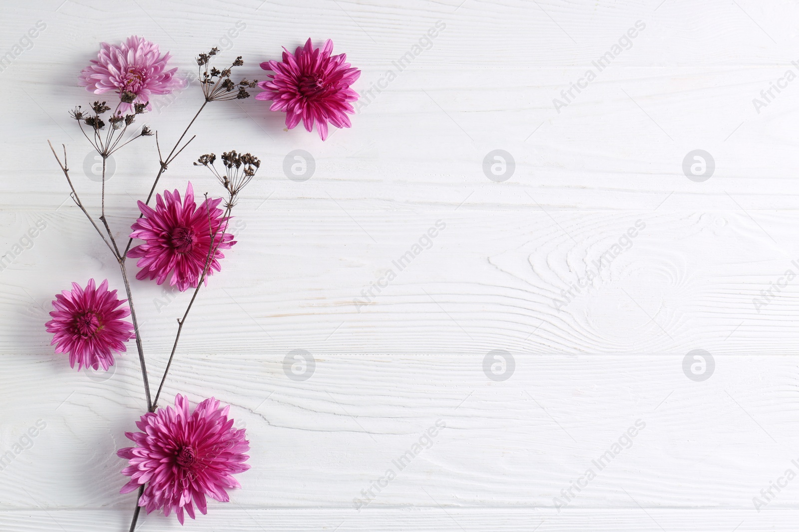 Photo of Flat lay composition with beautiful flowers a on white wooden table, space for text