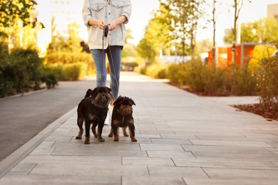 Woman walking Brussels Griffon dogs in park