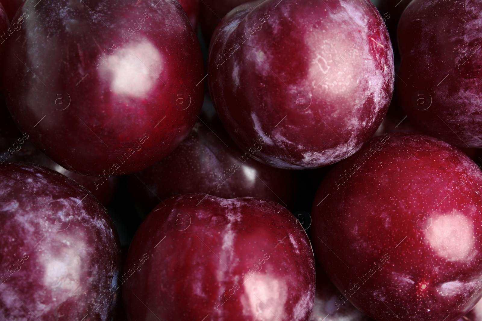 Photo of Many delicious ripe plums as background, closeup