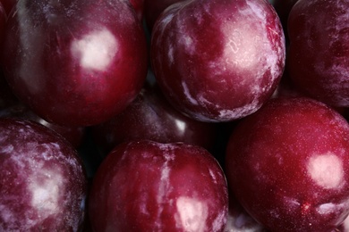 Photo of Many delicious ripe plums as background, closeup