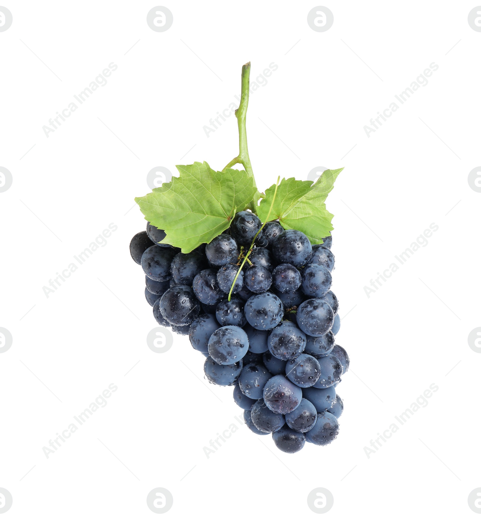 Photo of Bunch of fresh ripe juicy black grapes isolated on white