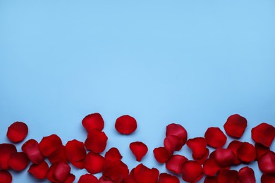 Photo of Beautiful red rose flower petals on light blue background, flat lay. Space for text