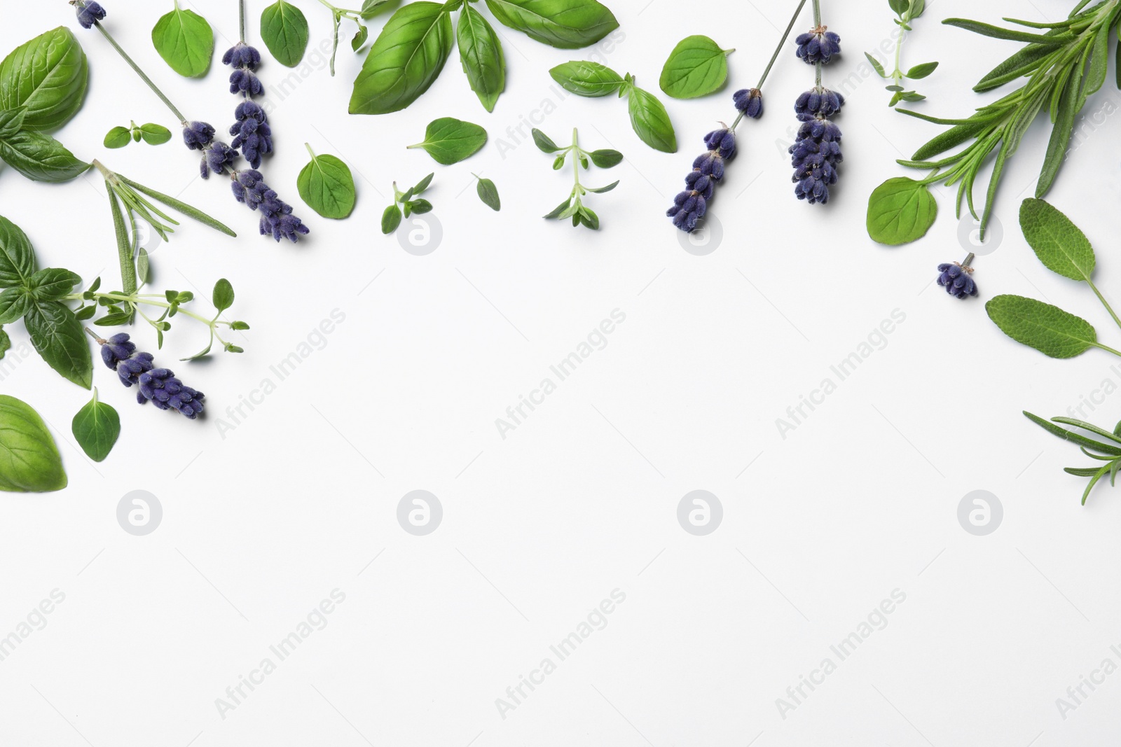 Photo of Many different aromatic herbs on white background, flat lay. Space for text