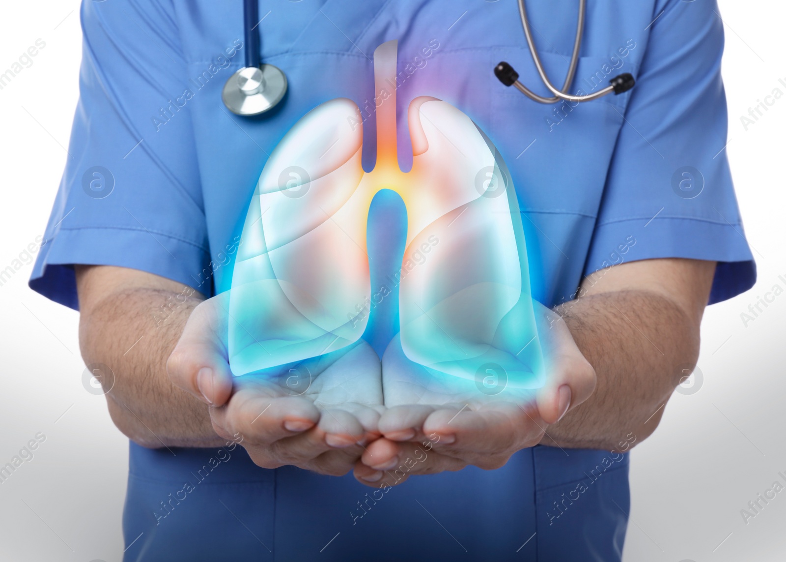 Image of Doctor demonstrating digital image of human lungs on light background, closeup