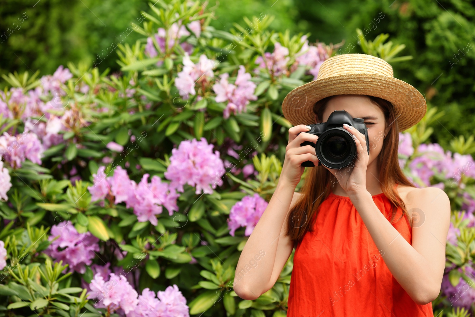 Photo of Photographer taking photo with professional camera in park