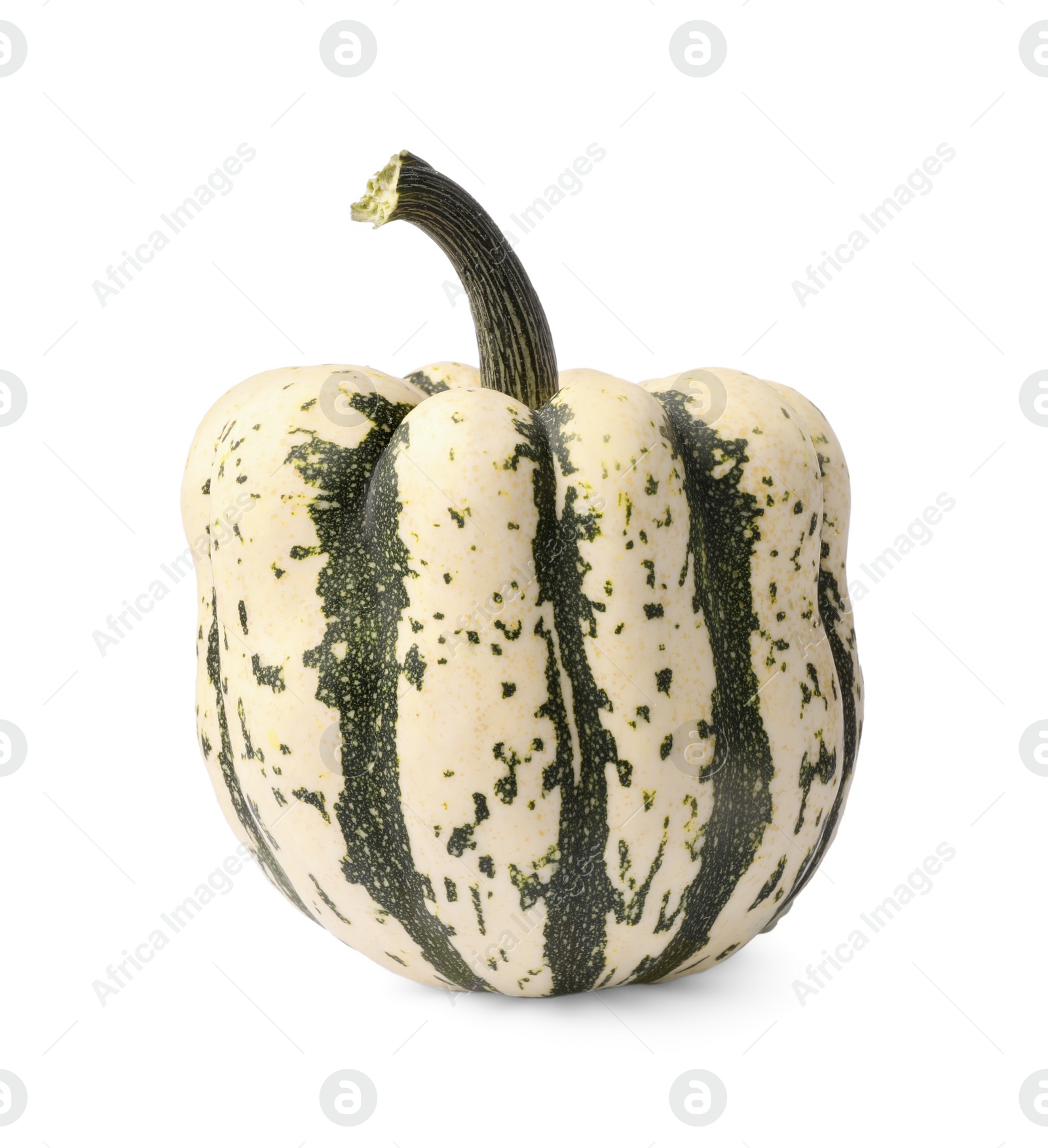 Photo of One whole ripe pumpkin isolated on white