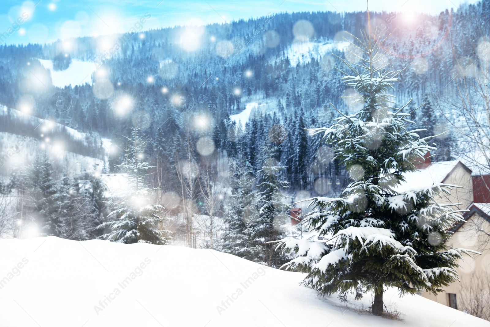 Image of Beautiful snowy forest and cottage on winter day