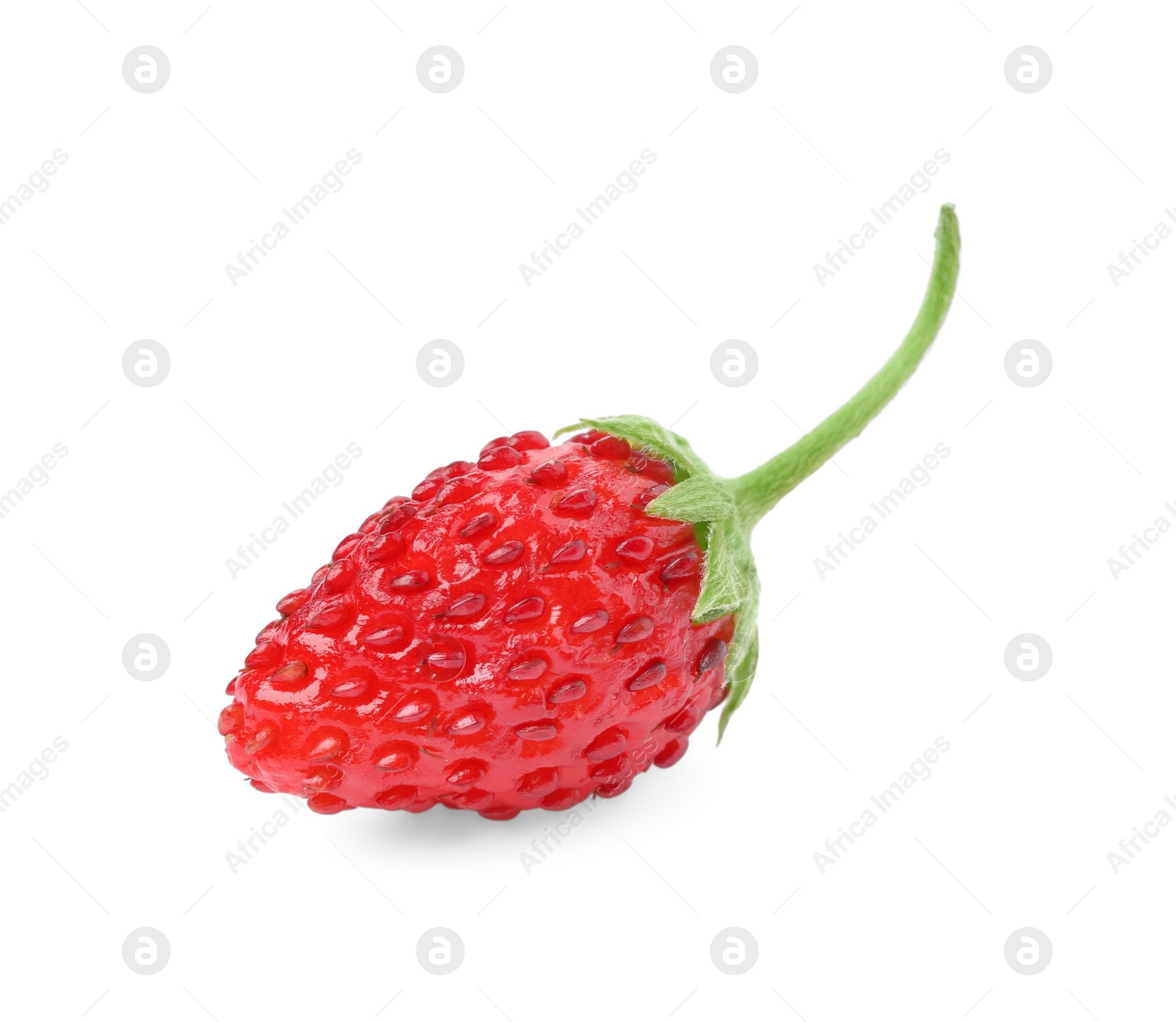 Photo of One ripe wild strawberry isolated on white