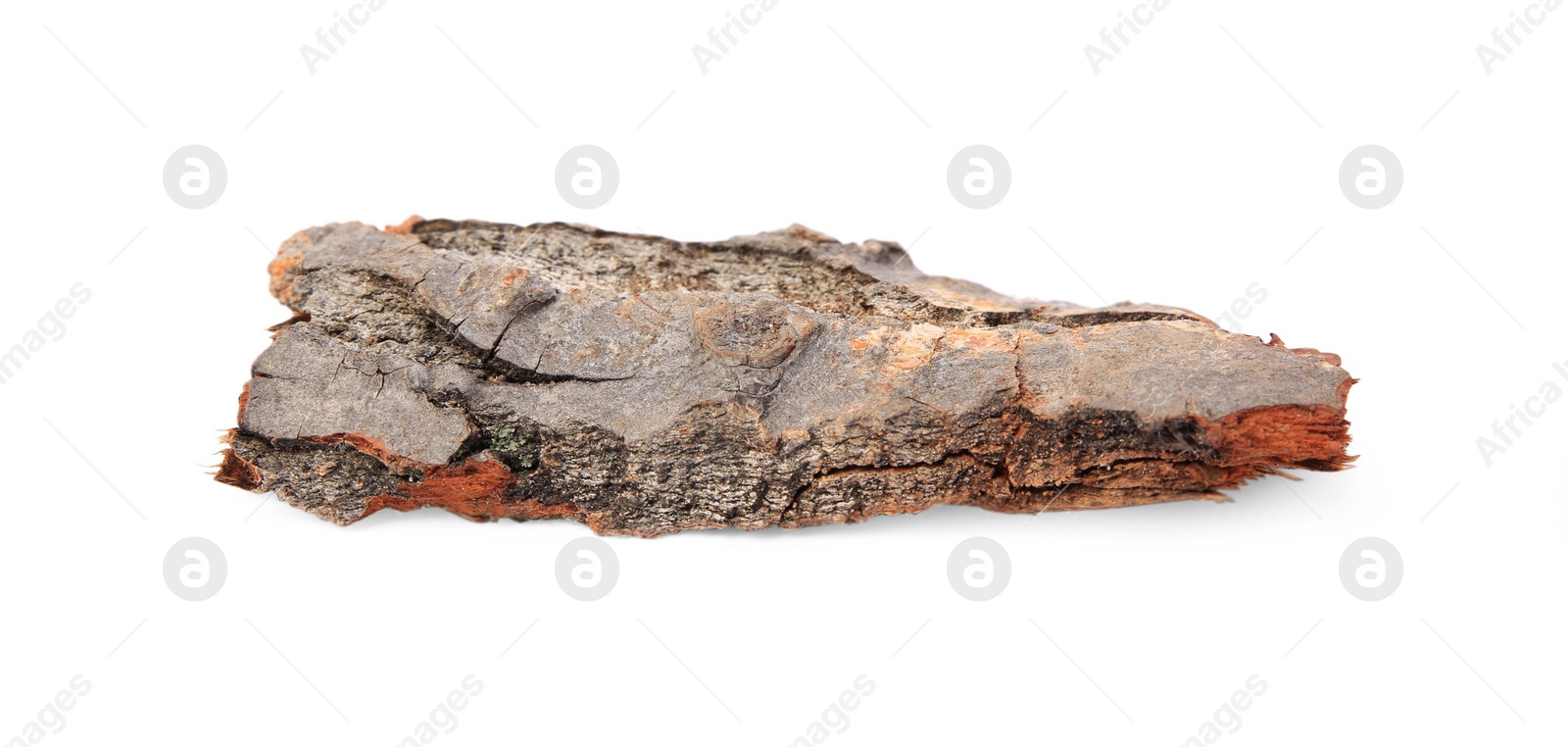 Photo of One tree bark piece isolated on white