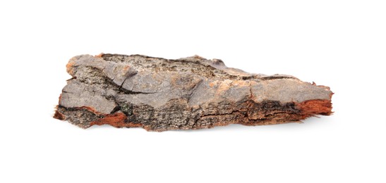 Photo of One tree bark piece isolated on white