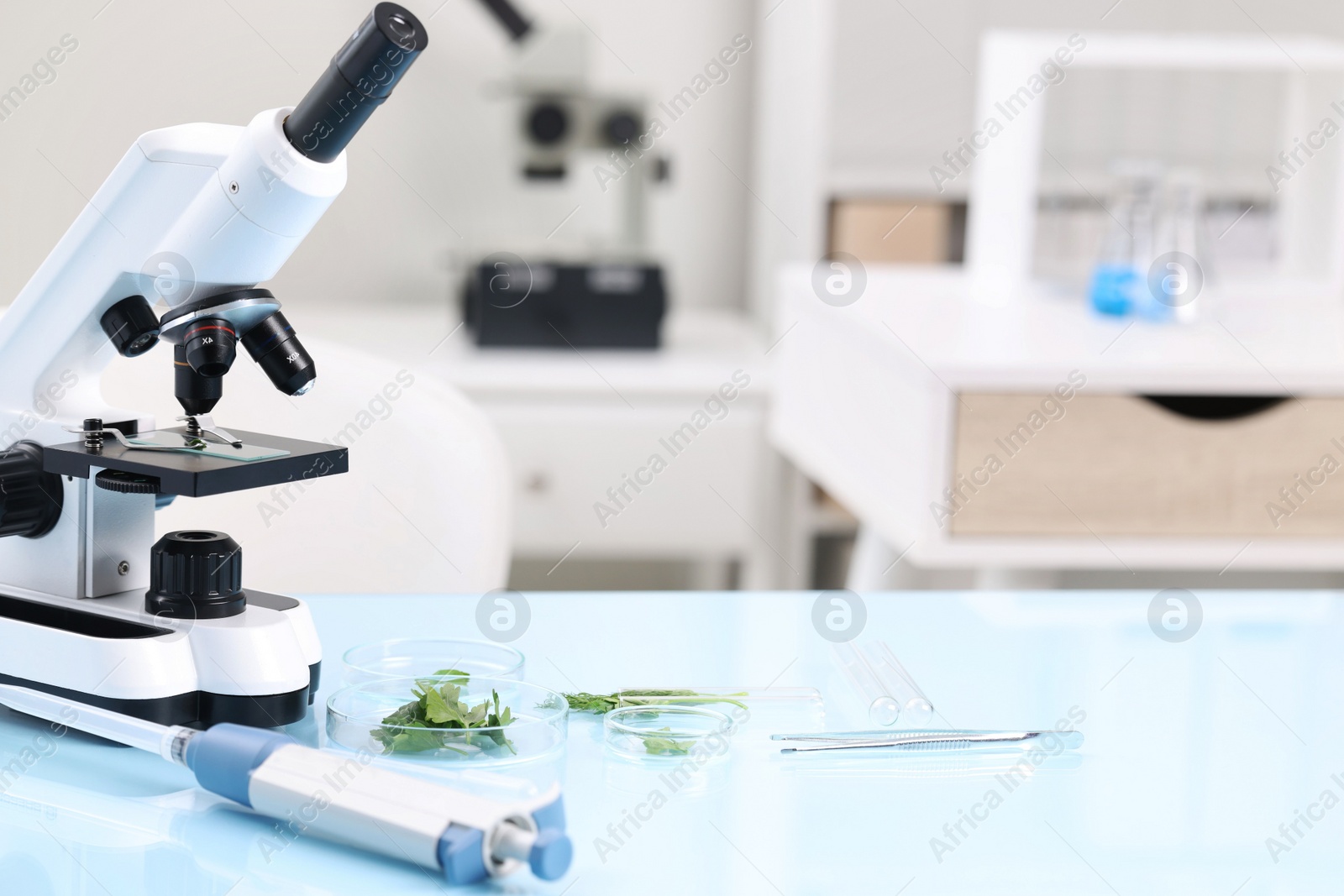 Photo of Food quality control. Microscope, petri dishes with herbs and other laboratory equipment on light blue table