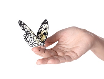 Woman holding beautiful rice paper butterfly on white background, closeup