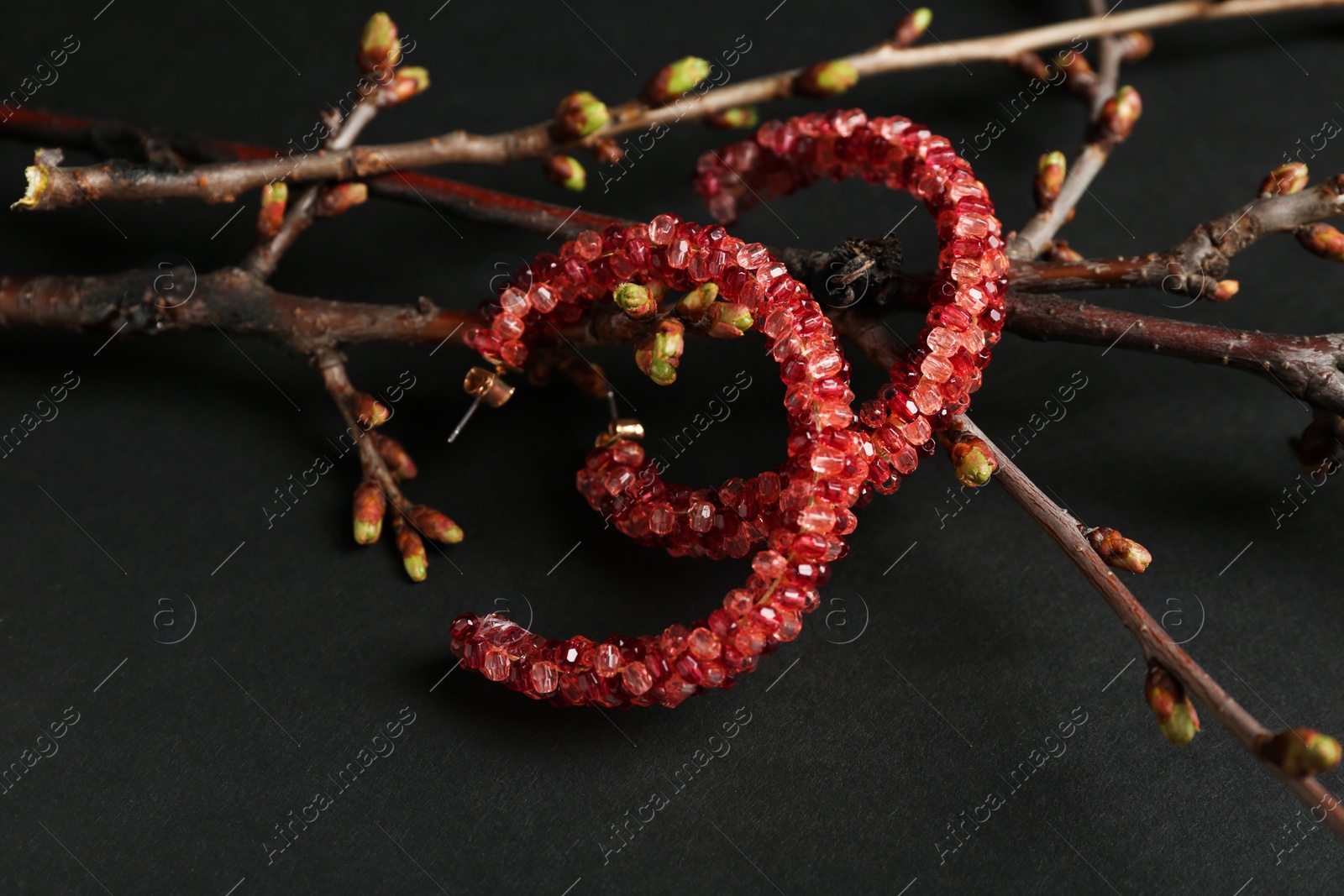 Photo of Branches with beautiful earrings on black background. Luxury jewelry