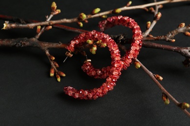 Branches with beautiful earrings on black background. Luxury jewelry