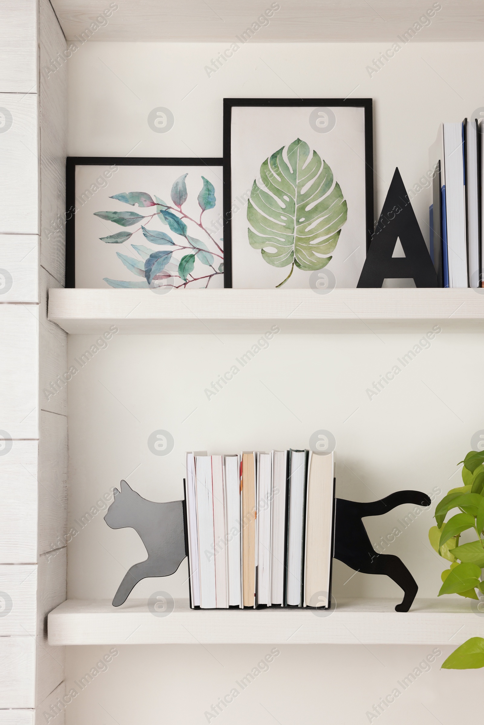 Photo of Bookends and other decor on shelves indoors. Interior design