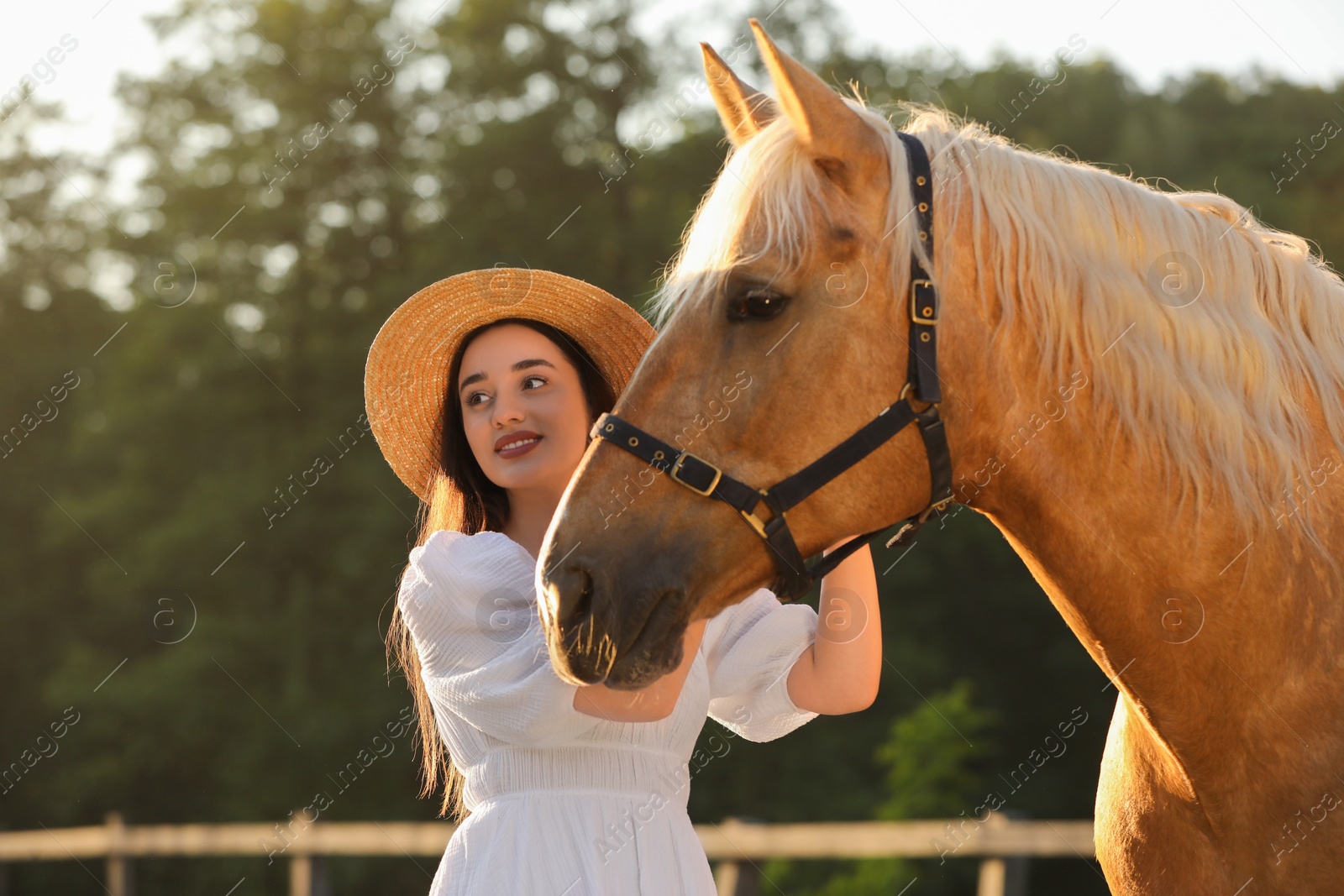 Photo of Woman with adorable horse outdoors. Lovely domesticated pet