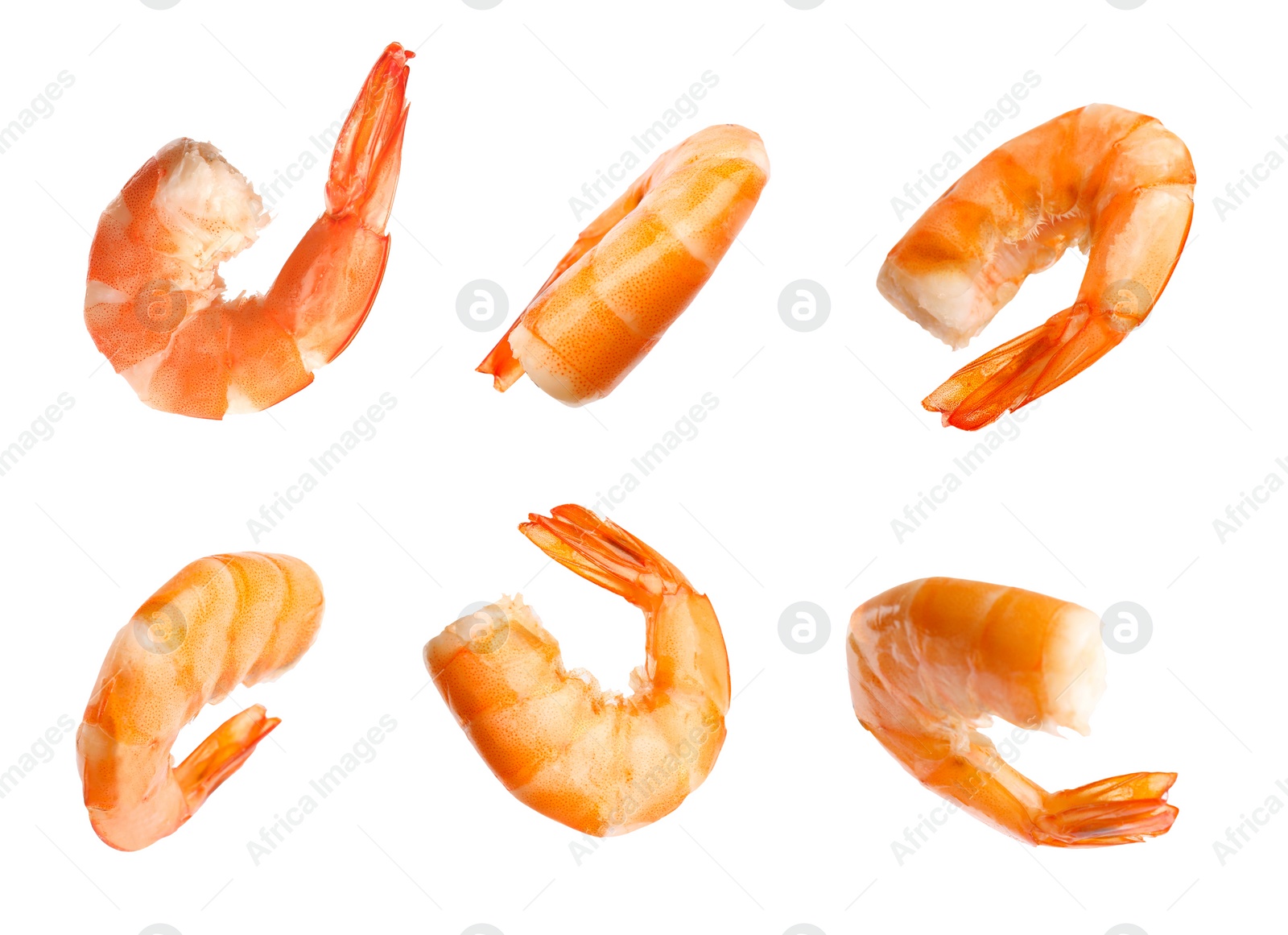 Image of Set of delicious freshly cooked shrimps on white background