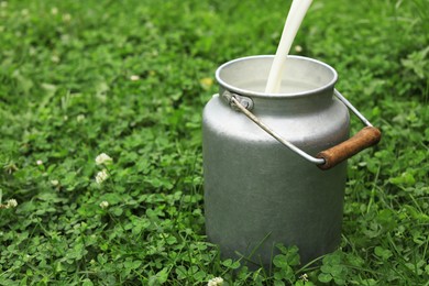 Photo of Pouring fresh milk into can on green grass outdoors, space for text