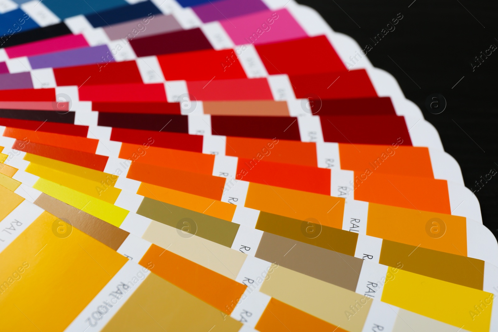 Photo of Color palette samples, closeup