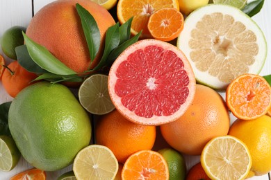 Photo of Different citrus fruits with fresh leaves, closeup