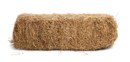 Bale of dried straw isolated on white