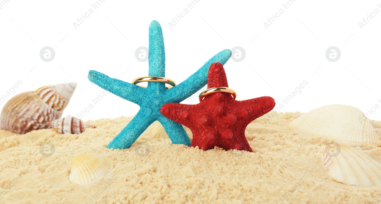 Photo of Honeymoon concept. Two golden rings, sea stars, seashells and sand isolated on white